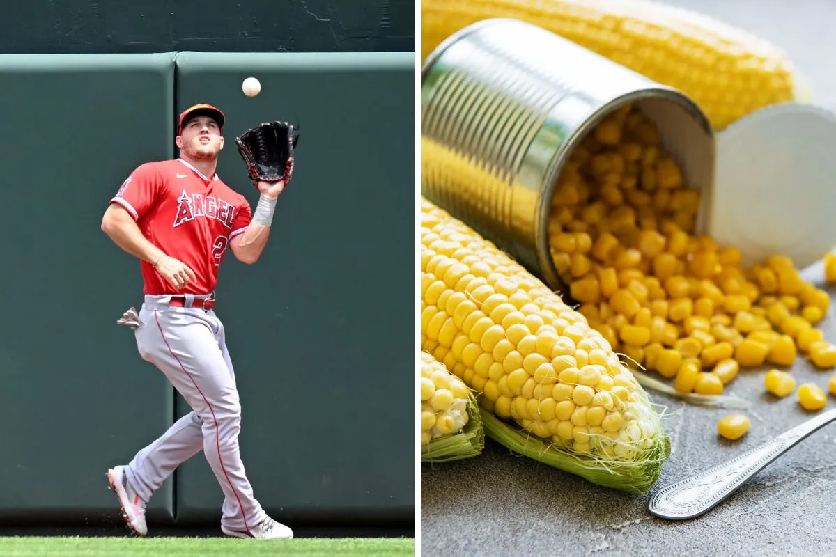 why is a lazy fly ball called a can of corn